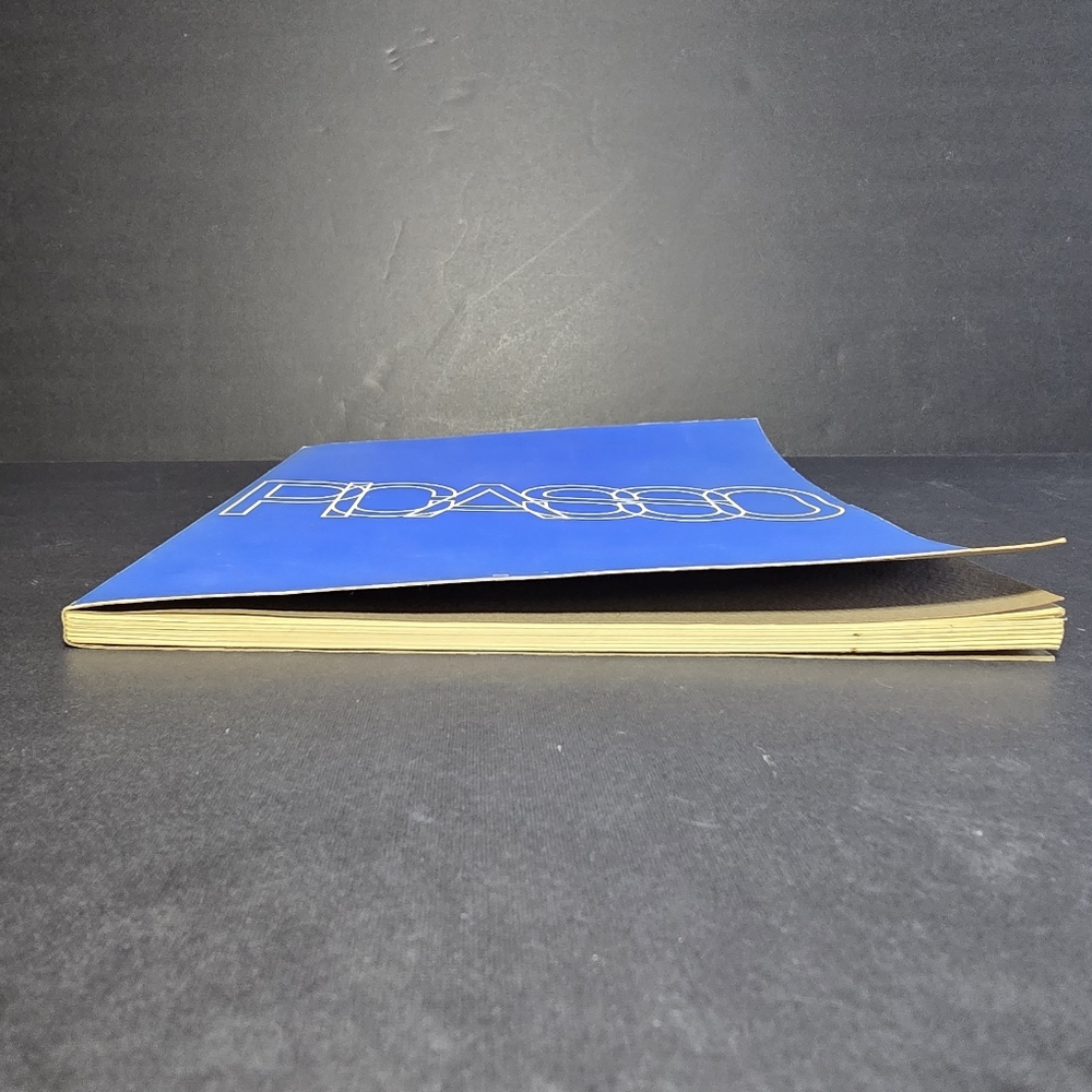 PICASSO Two Concurrent Retrospective Exhibitions: Dallas Fort Worth 1967 Catalog - Picture 2 of 12